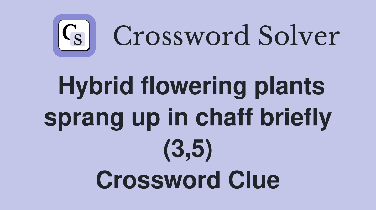 Hybrid flowering plants sprang up in chaff briefly (3,5) Crossword
